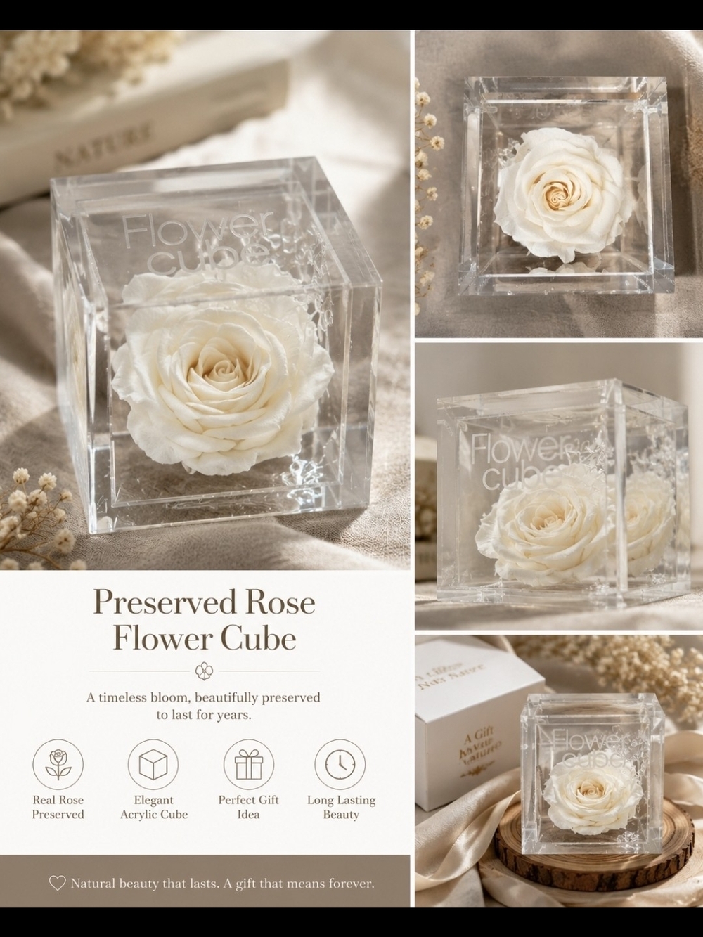 Preserved Cream Rose in Clear Acrylic Cube - Floral Keepsake